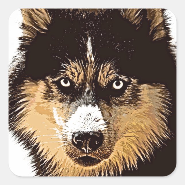 Sticker Carré Sibérien Husky (Devant)