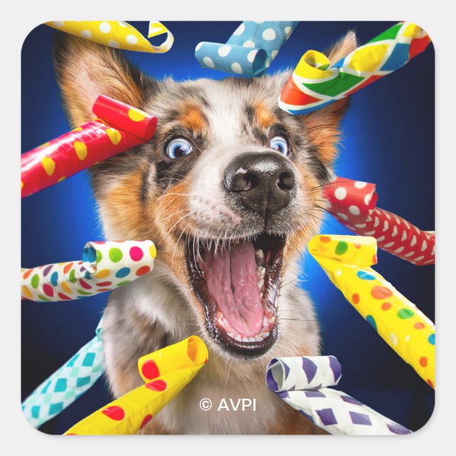 Sticker Carré Sifflets de fête pour chien heureux (Devant)