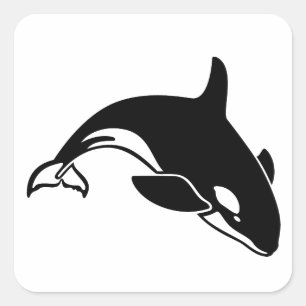 Sticker Carré Silhouette baleine
