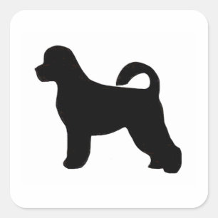 Sticker Carré silhouette de chien d'eau portugaise.png