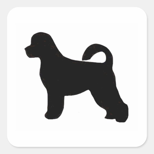 Sticker Carré silhouette de chien d'eau portugaise.png (Devant)