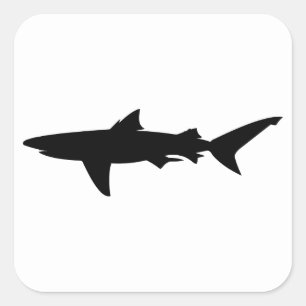 Sticker Carré Silhouette de requin