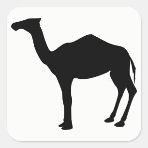 Sticker Carré Silhouette dromadaire