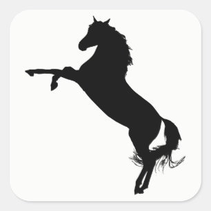 Sticker Carré Silhouette du cheval arabe