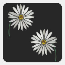 Simplement des marguerites