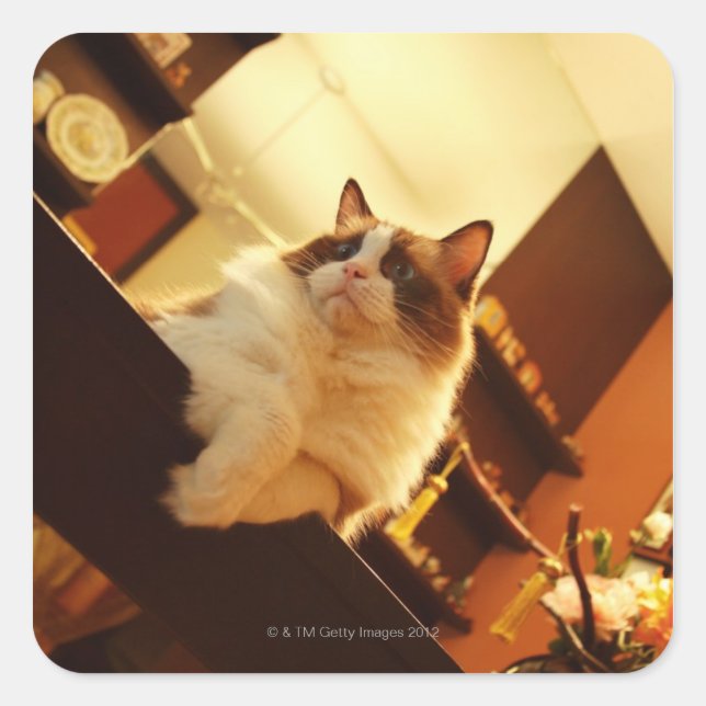 Sticker Carré Singapour 6 (Devant)