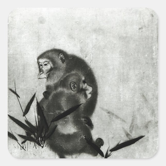 Sticker Carré Singes (Devant)