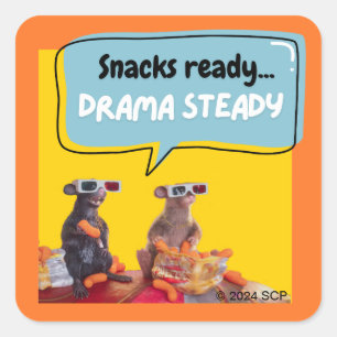 Sticker Carré Snacks Ready, Drama Steady