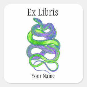 Sticker Carré Snake Ex Libris Plaques de réservation, personnali