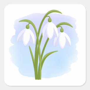 Sticker Carré Snowdrops - Fleurs de printemps sur aquarelle bleu