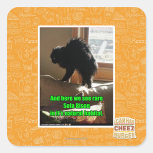 Sticker Carré Sofa Bison