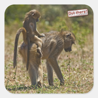 Sticker Carré Soins pour bébés