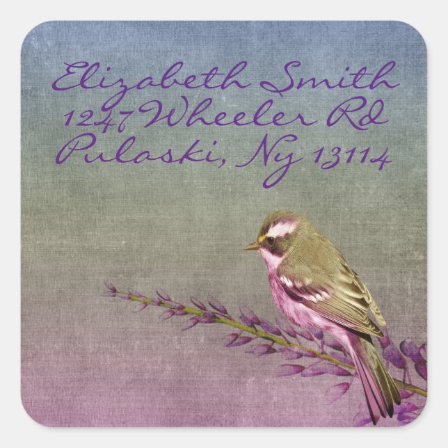 Sticker Carré Songbird (Devant)