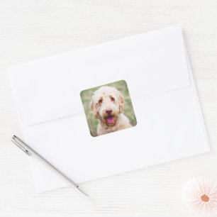 Sticker Carré Souriant d'endoodle doré