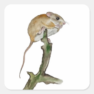 Sticker Carré Souris aquarelle réaliste dans l'arbre