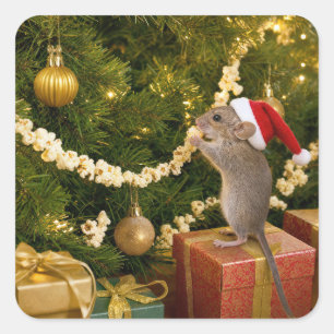 Sticker Carré Souris de Noël mangeant du pop-corn sur l'arbre