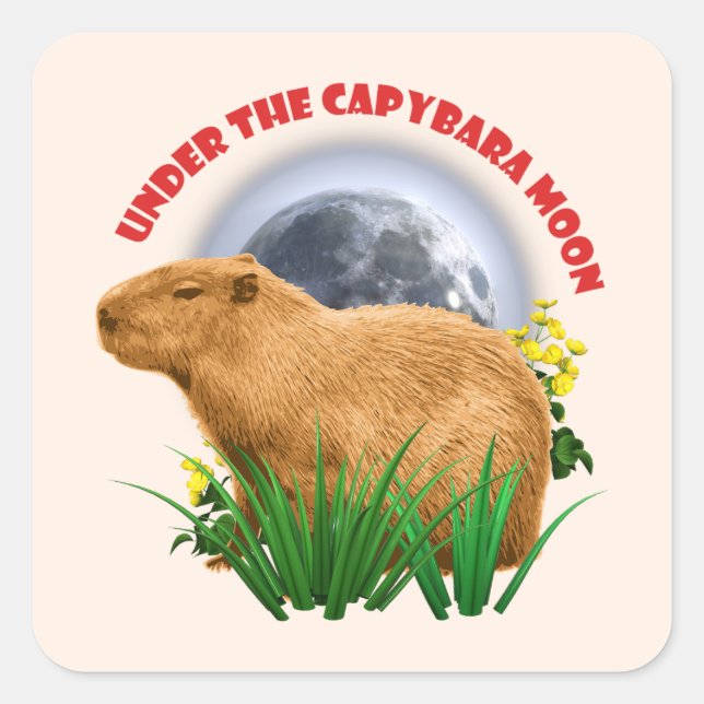 Sticker Carré Sous la Lune du Capybara Drôle Capybara  (Devant)