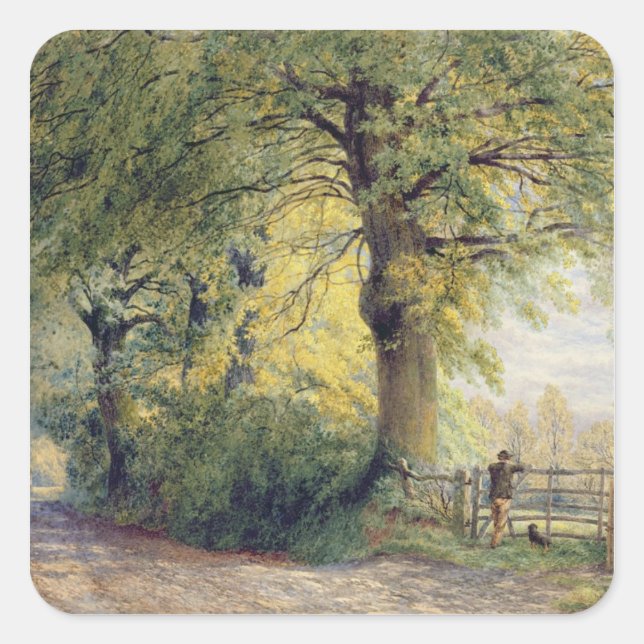 Sticker Carré Sous les hêtres (Devant)