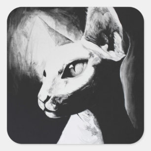 Sticker Carré Sphynx Cat Black White Contrast Hairless