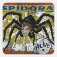 Spidora