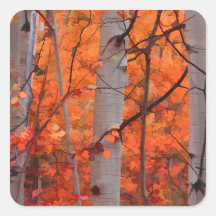 Sticker Carré Splendeur d'automne