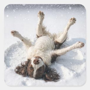 Sticker Carré Springer Spaniel Anglais faisant un ange de neige