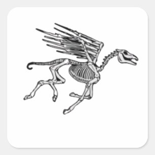 Sticker Carré Squelette de Pegasus sur Women's Plus