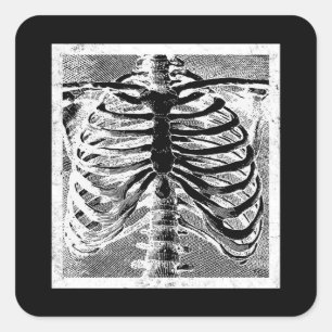Sticker Carré Squelette Vintage Torse Corps Halloween