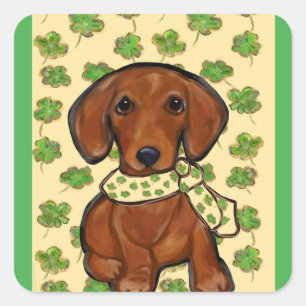 Sticker Carré St.Patty Doxie becomes Sainte-Patty Doxie, but a m