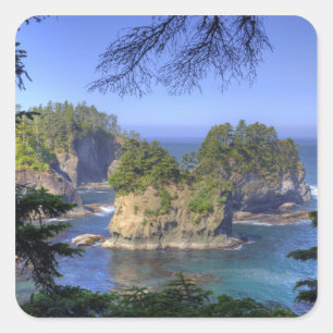 Sticker Carré Stacks marins, terres tribales de la nation Makah,