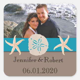 Sticker Carré Starfish et dollar de sable Brown et Turquoise
