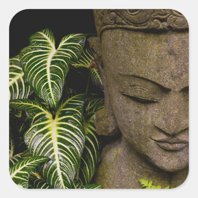 Sticker Carré Statue dans un jardin Information : Chiang Ma (Devant)