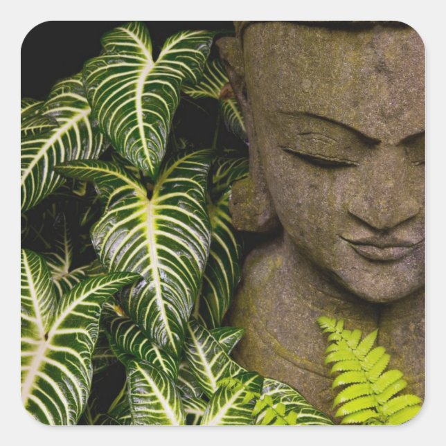 Sticker Carré Statue dans un jardin Information : Chiang Ma (Devant)