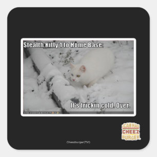 Sticker Carré Stealth Kitty 1