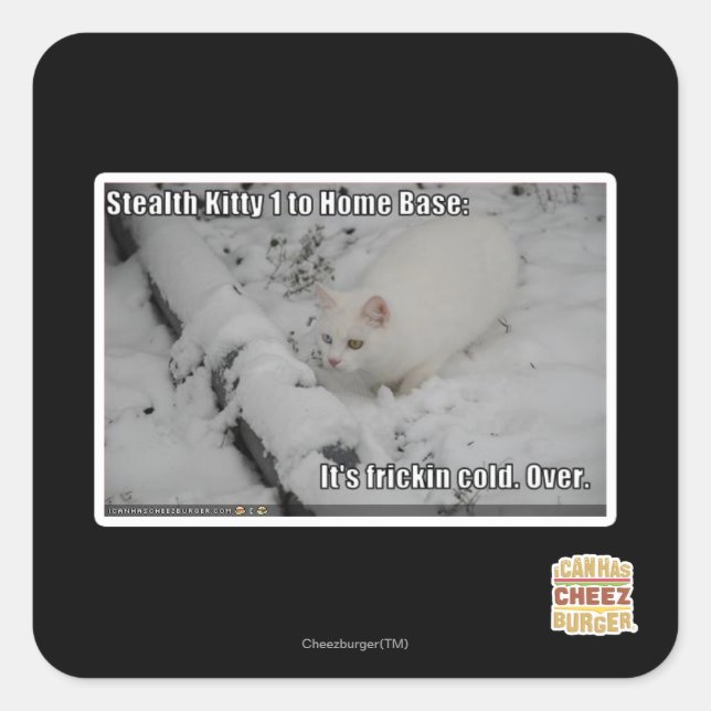 Sticker Carré Stealth Kitty 1 (Devant)