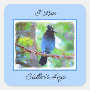 Sticker Carré Steller's Jay Painting - Art original pour oiseaux