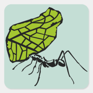 Sticker Carré Stistcil