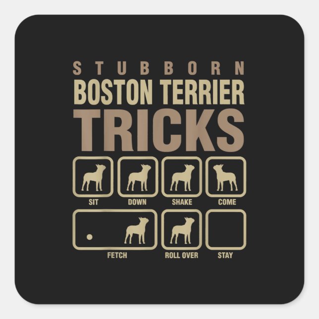 Sticker Carré Stubborn Boston Terrier Tricks Amoureux des chiens (Devant)