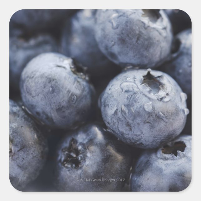 Sticker Carré Studio photo de bleuets 3 (Devant)