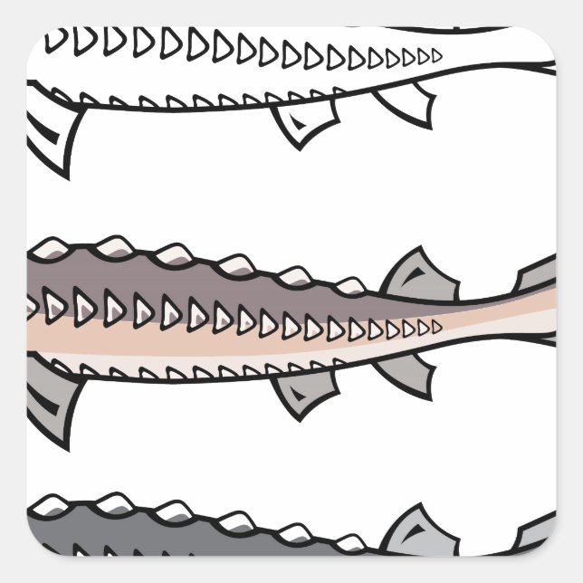 Sticker Carré Sturgeon poisson rare (Devant)
