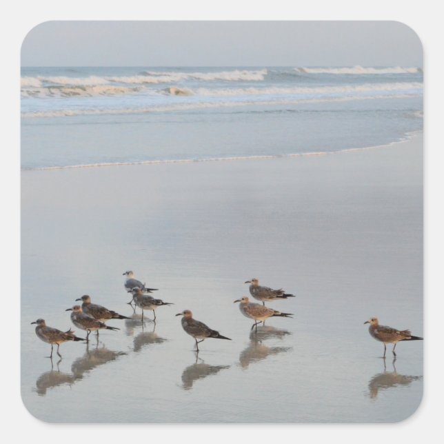 Sticker Carré Sunset Beach Photo Flock of Birds By Ocean (Devant)