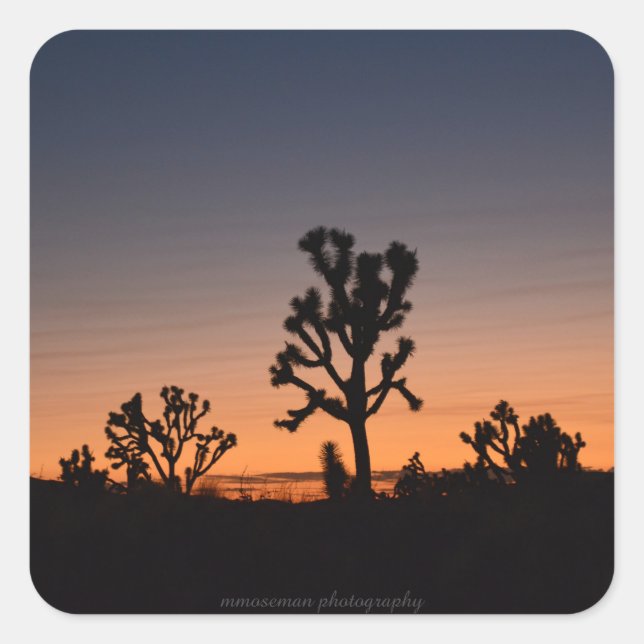 Sticker Carré Sunset Joshua Trees (Devant)