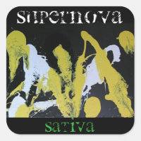 SUPERNOVA SATIVA