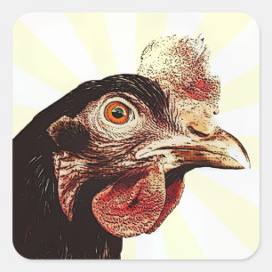 Sticker Carré Superstar du poulet grumeux