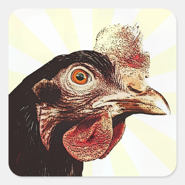 Sticker Carré Superstar du poulet grumeux (Devant)