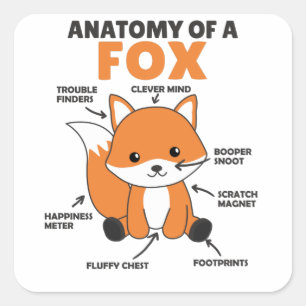 Sticker Carré Sweet Fox Explication Anatomie De Fox