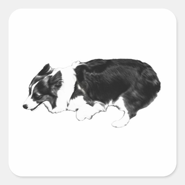 Sticker Carré Swift corgi, pocket smile (Devant)