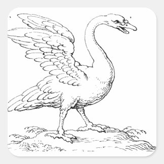 Sticker Carré Symbole de l'amour et de la fidélité Swan Fine Art
