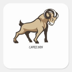 Sticker Carré SYMBOLE Zodiaque Capricorne