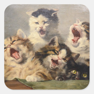 Sticker Carré Symphonie de Kitten par Julius Adam II